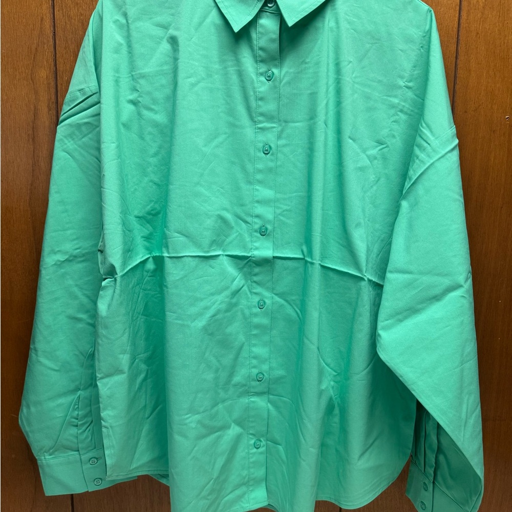 Express Green Dress Shirt